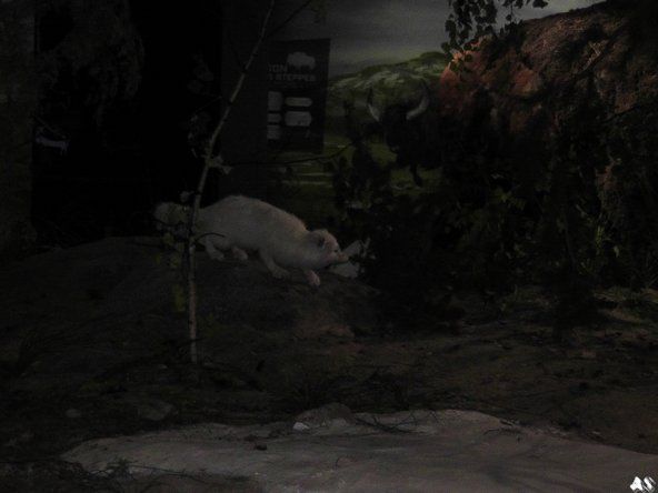 0119.jpg