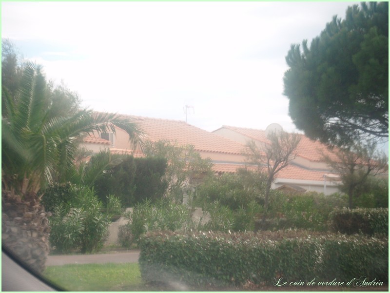 DSCF1623_3.jpg
