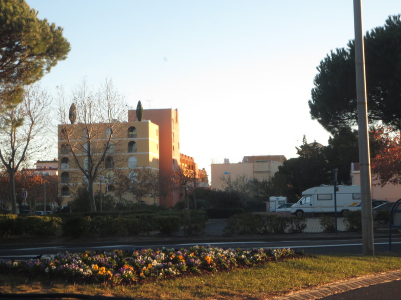 Gruissan et ses fruits de mer