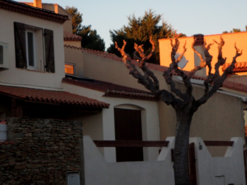 Gruissan et ses fruits de mer