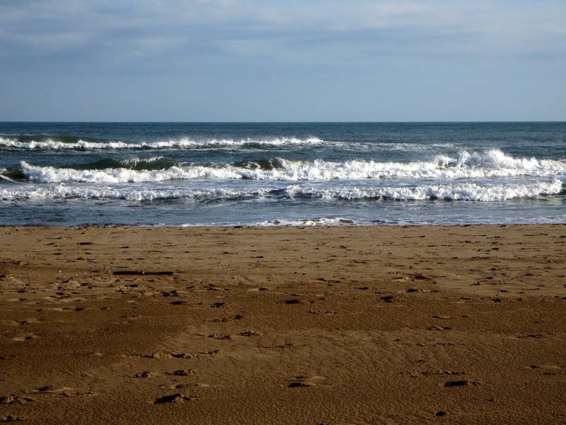 rencontre narbonne plage