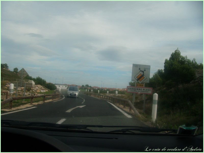 NP9.jpg