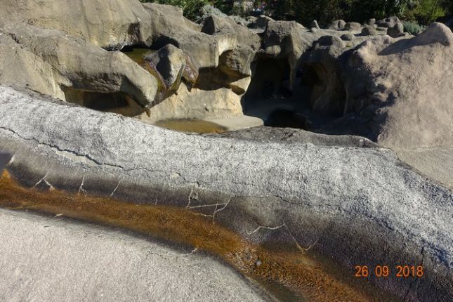 S0783.jpg