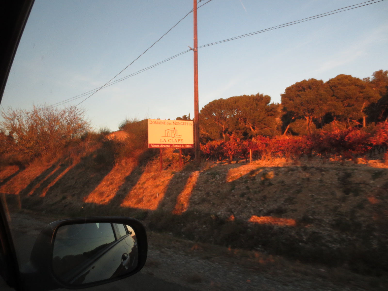 Gruissan et ses fruits de mer